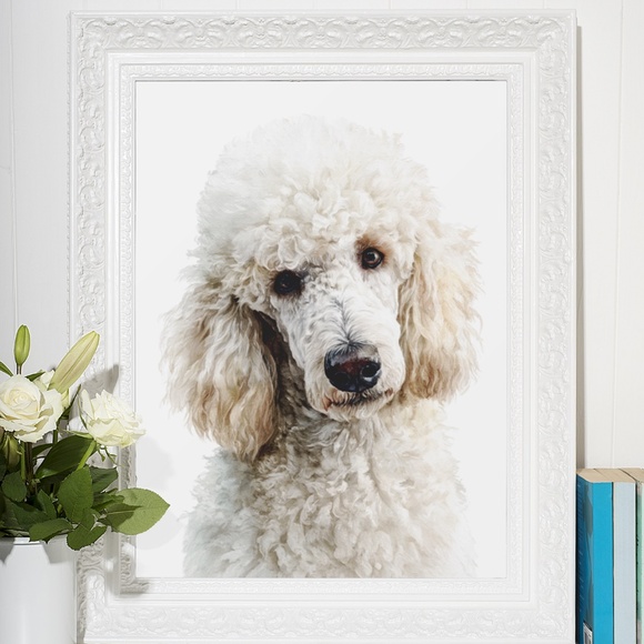 Watercolor Standard White Poodle Wall Art Print Unframed - Elegant Canine Poster - Picture 7 of 7